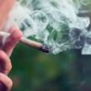 marijuana cannabis vieillissement accelere precoce couv