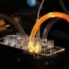 nanotechnologie adn criblage haut debit rapide vaccin couv