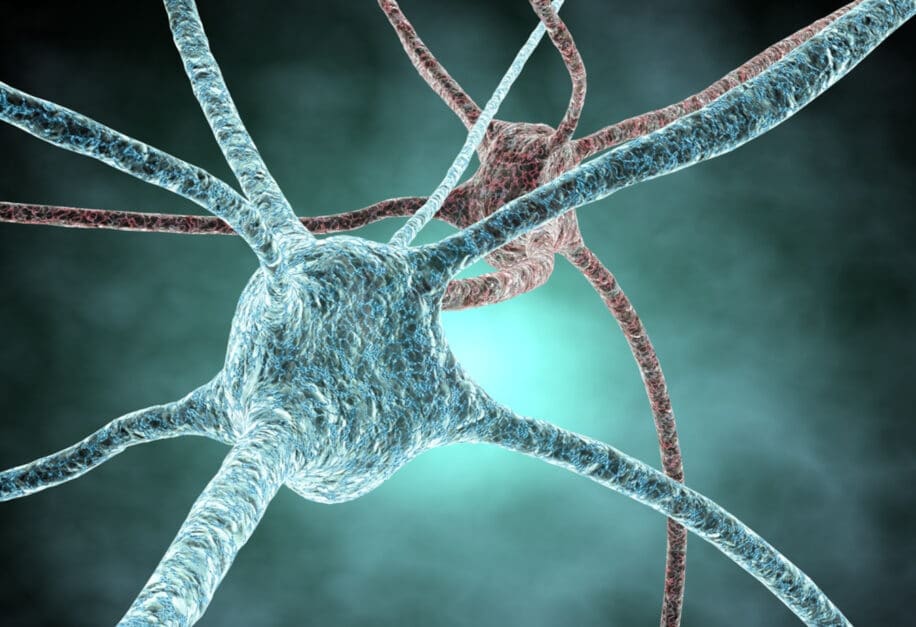 neurones synthétiques biomatériaux