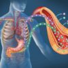 traitement diabete type 2 ultrasons bioelectronique couv