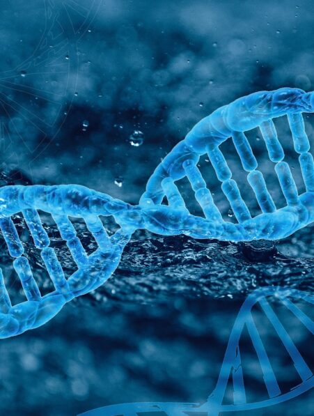 ADN mutation effet tunnel
