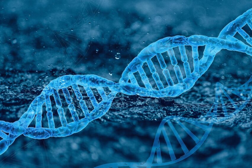 ADN mutation effet tunnel