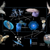 continent plastique ecosysteme inedit vie marine couv