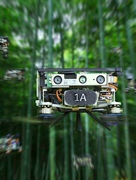 essaim drones autonomes capables naviguer foret
