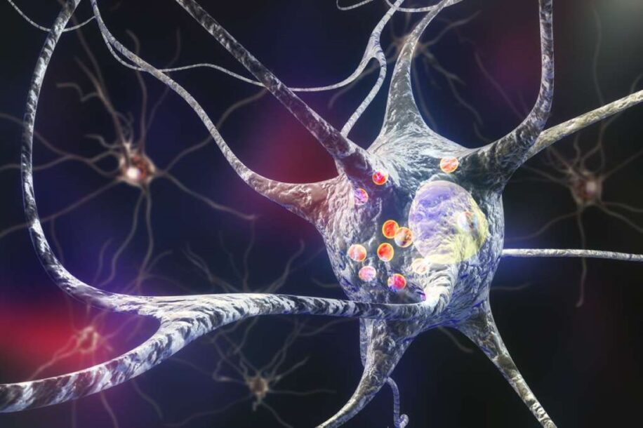 neurones specifiques mort cellulaire parkinson cible therapeutique couv