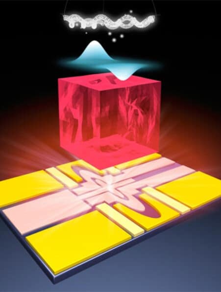 plateforme qubits électron unique néon