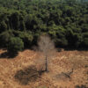 record déforestation forêt amazonienne brésil