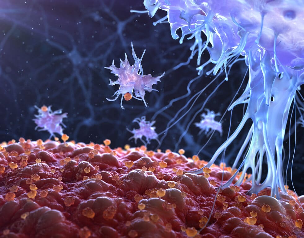 virus tueur cancer essai clinique