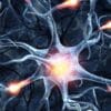 cellules neuronales controle symptomes maladies infection couv
