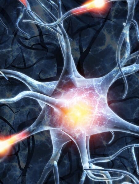 cellules neuronales controle symptomes maladies infection couv