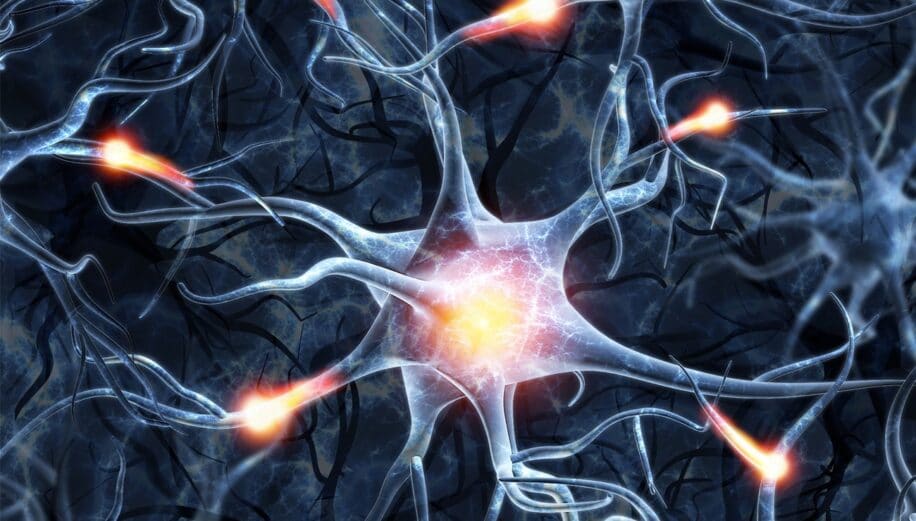 cellules neuronales controle symptomes maladies infection couv