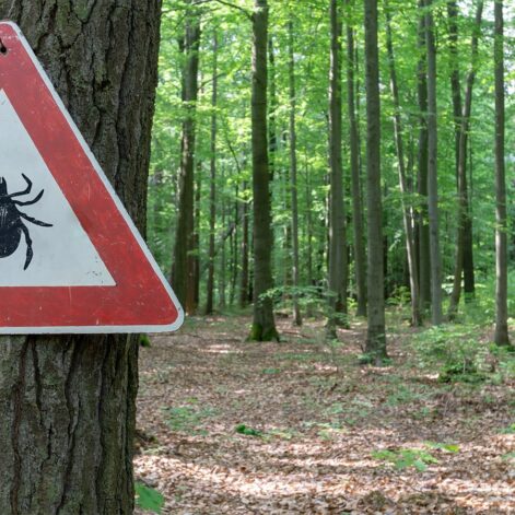 comment se proteger au mieux des tiques couv