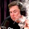 consommer cannabis rend plus empathique gentil couv