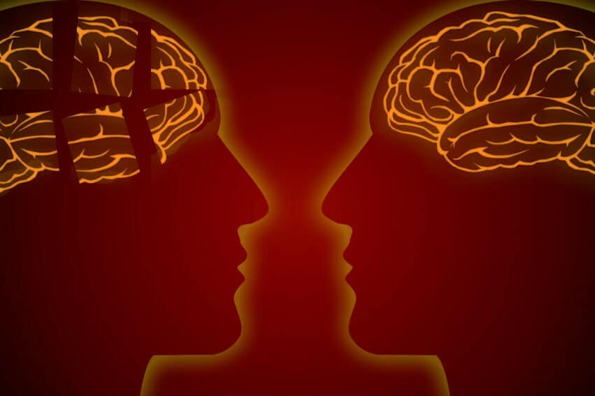 découverte alzheimer artères cerveau