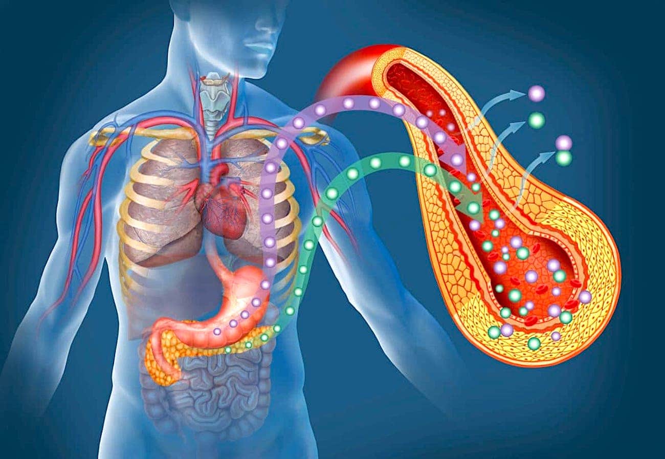 insulin-producing-cell-reconstitution-therapy-coming-soon-archyde