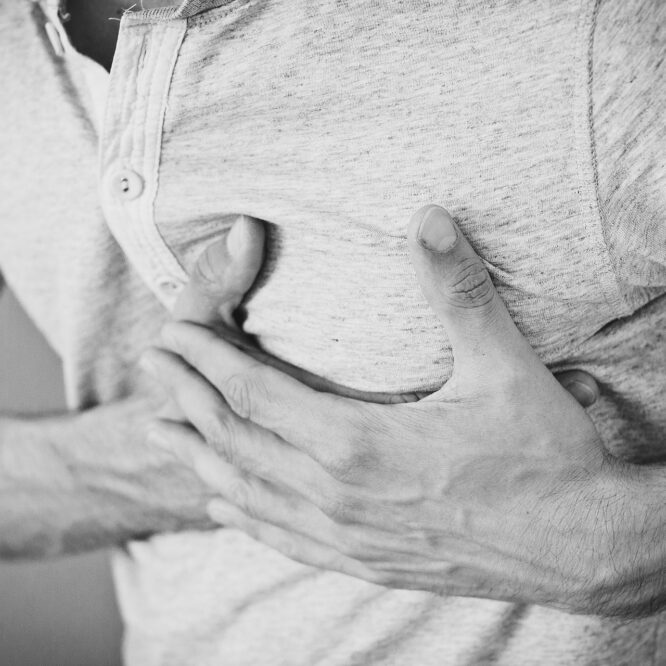 gel répare blessure infarctus coeur