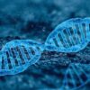 gene implique paraplegie motoneurones lipides cellules nerveuses couv
