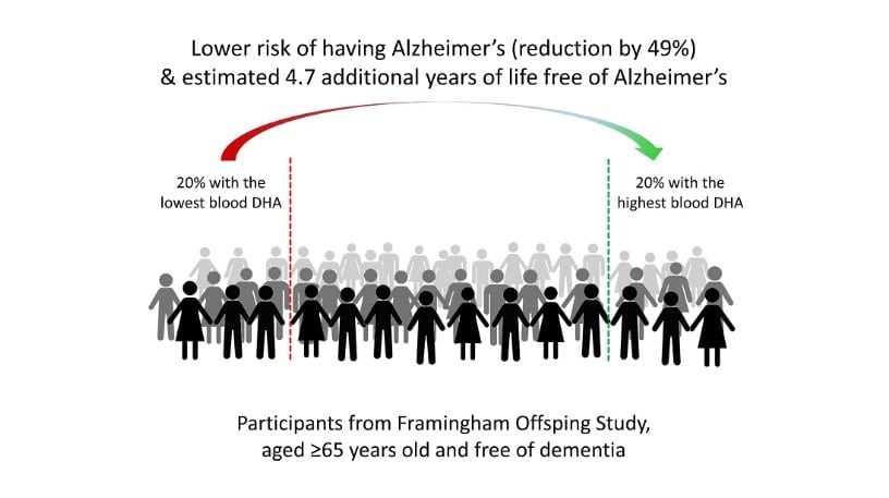 alzheimer omega 3 infographic