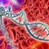 maladie du sang crispr therapie genique traitement curatif phase 3