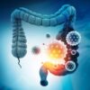 reservoirs intestin coronavirus responsables covid long