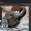 version web photoshop accessible gratuitement