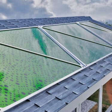 panneaux solaires microalgues