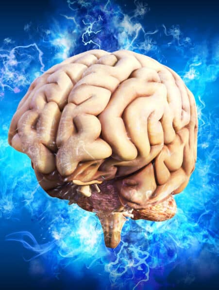 cerveau machine prédictions langage