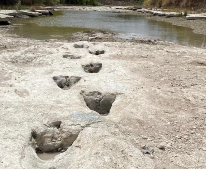 empreintes dinosaures texas sécheresse