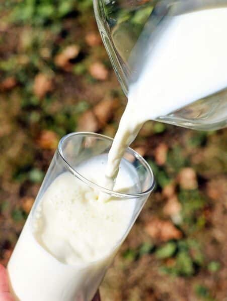 laits synthetiques bousculent industrie laitiere