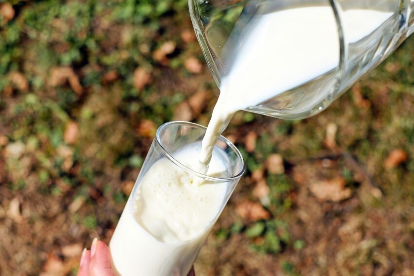 laits synthetiques bousculent industrie laitiere
