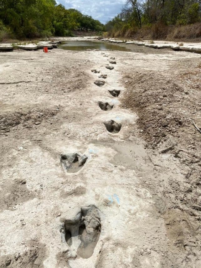 pistes empreintes dinosaures rivière texas