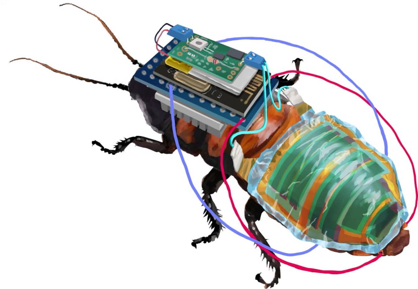 Remotely controllable cyborg cockroaches with self-charging batteries