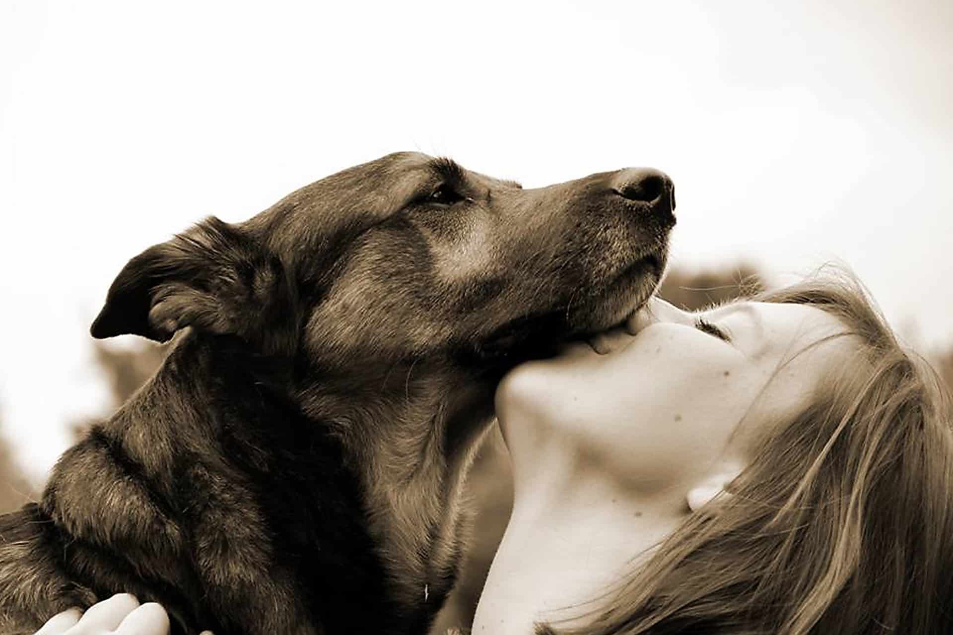 Une étude démontre pour la première fois que les chiens pleurent  (littéralement) de joie en retrouvant leur maître