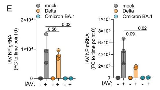 H1N1 virus omicron cell levels