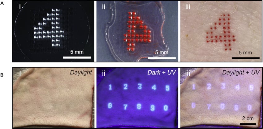 tatouages chiffres encre visible UV