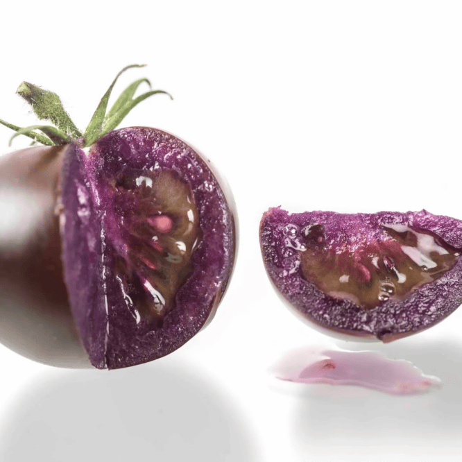 tomates violettes genetiquement modifiees approuvees etats unis