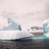 ADN sédimentaire antarctique