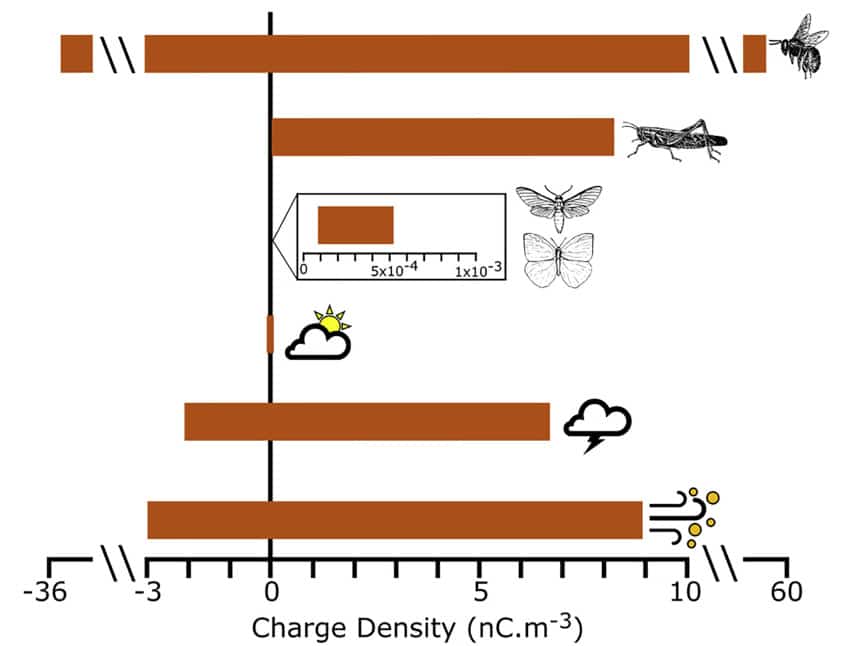 comparaison densité charge insectes phénomènes météo
