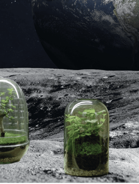 cultiver durablement plantes sur la lune 2025