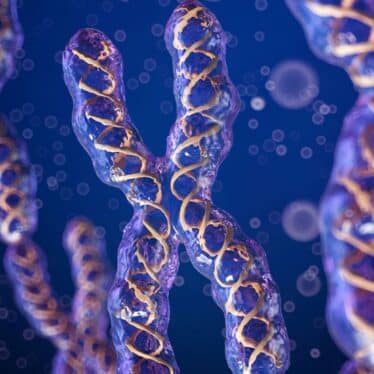 emergence chromosome x egoiste evolution homme couv