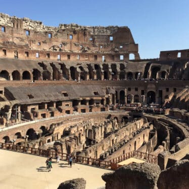 fouilles égouts Colisée Rome restes chiens