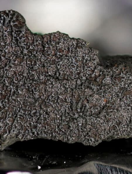 meteorite Winchcombe origine eau Terre