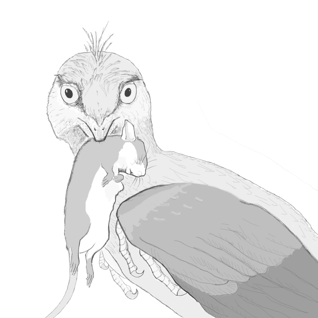 microraptor mammifere