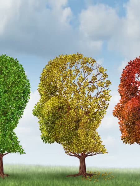 TDAH facteur risque Alzheimer démence