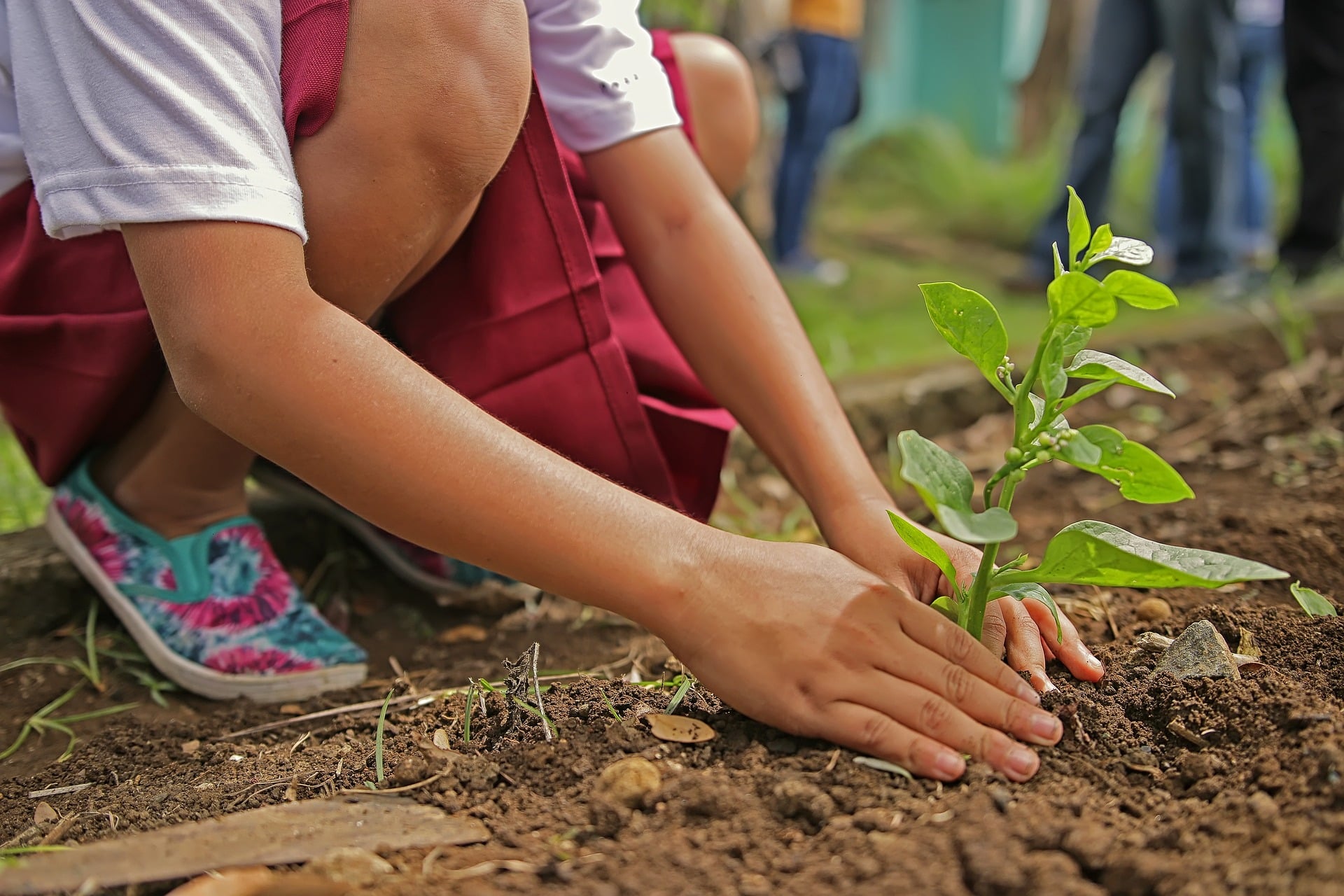 Le jardinage et la santé physique - Environnement