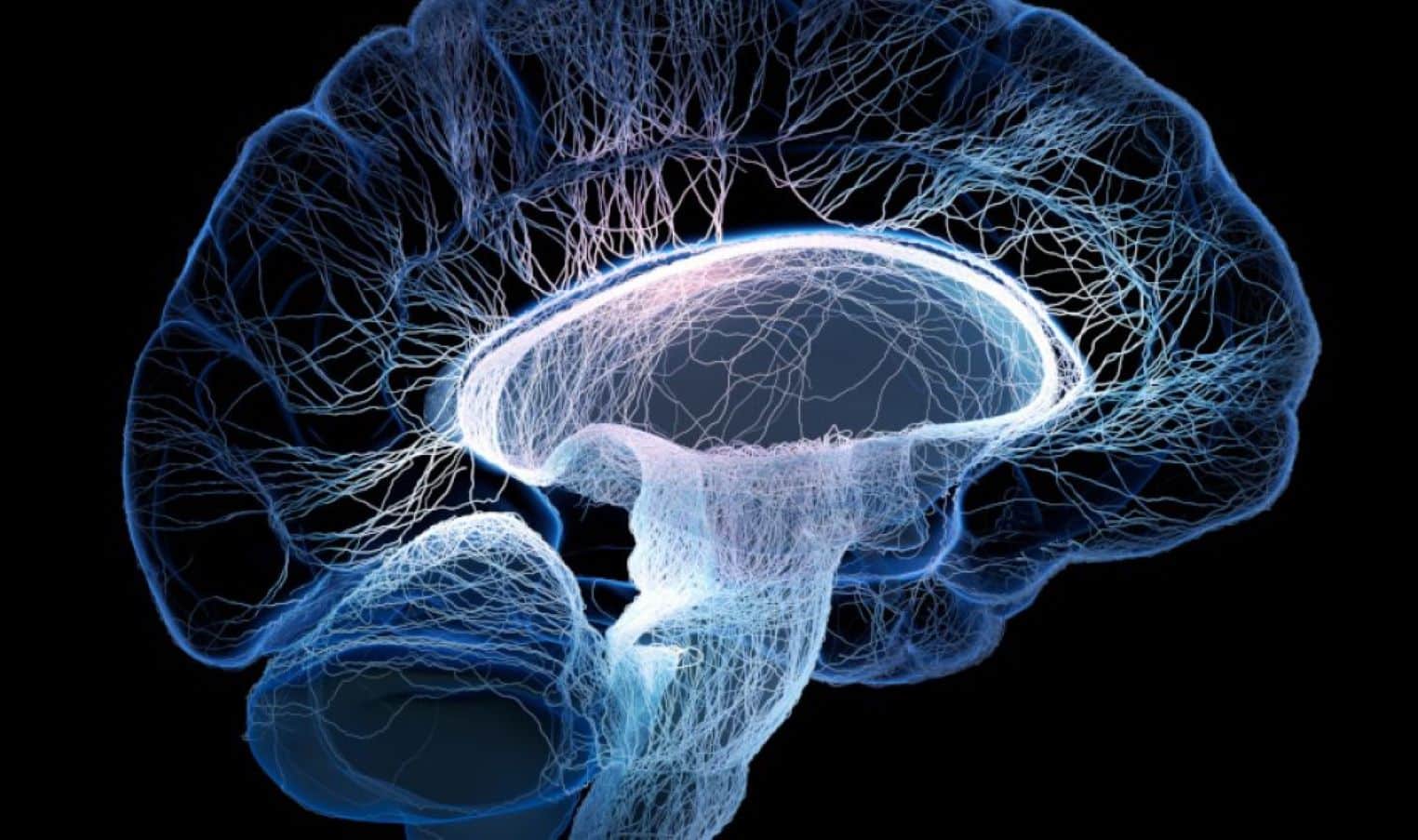 Alla scoperta di una rete di regioni cerebrali comuni a 6 malattie mentali