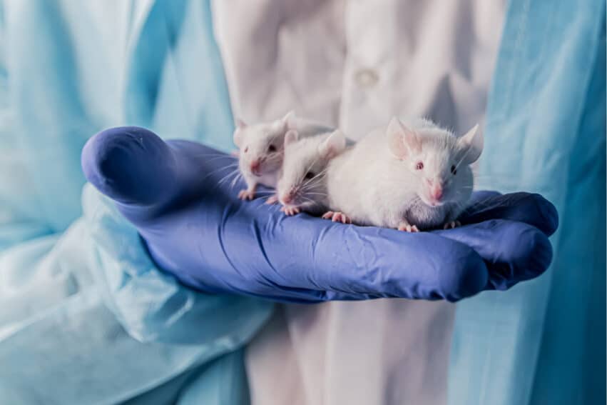 thérapie génique prolonge vie souris
