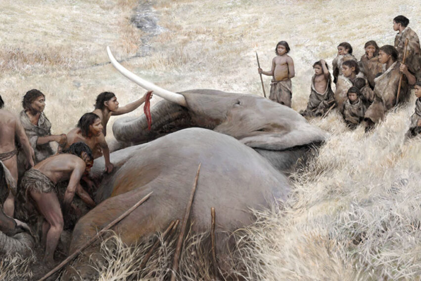 Néandertal preuves chasse éléphants géants