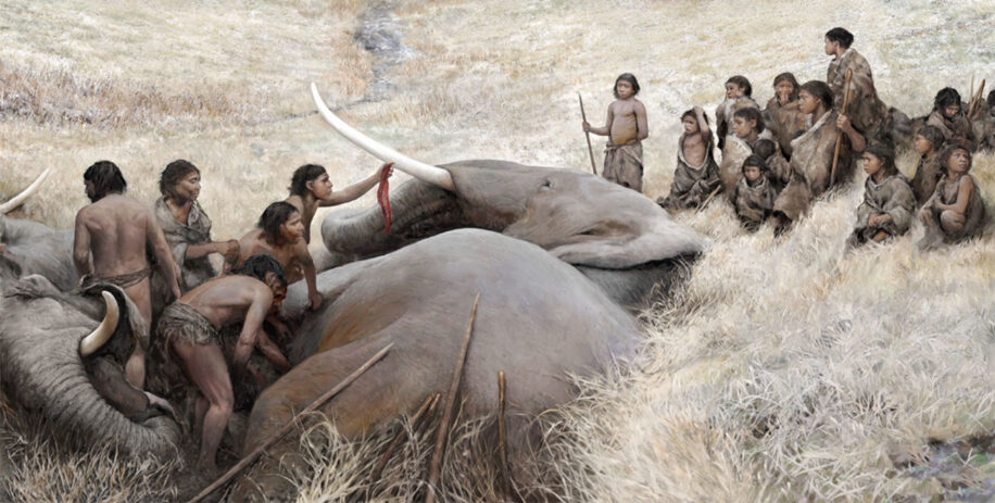 Néandertal preuves chasse éléphants géants