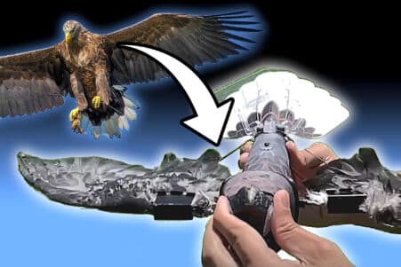 scientifiques utilisent corps oiseaux morts drones